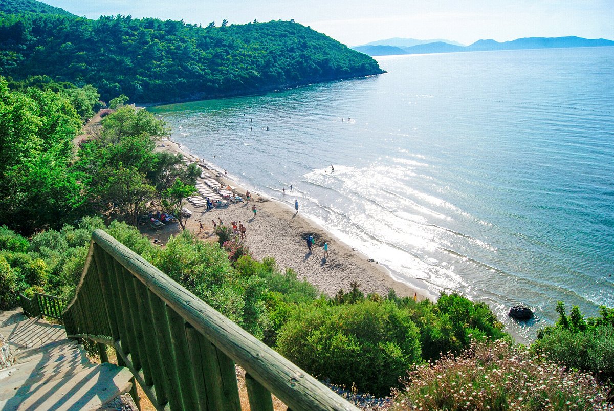 Güzelçamlı’da Milli Park, doğa ve sahil yaşamı